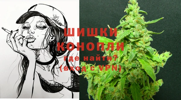 гашик Богородск