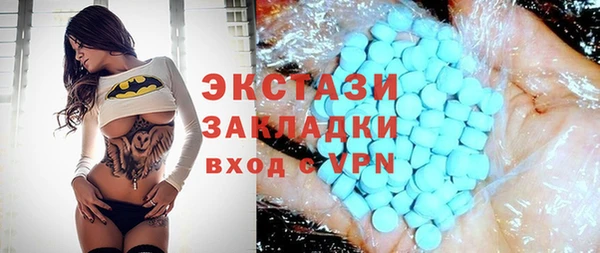 гашик Богородск