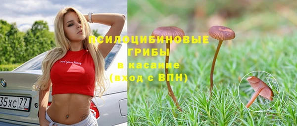 а пвп мука Богородицк