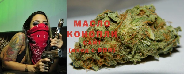 гашик Богородск
