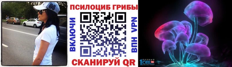 Купить где  Чекалин  Галлюциногенные грибы Cubensis 